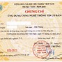 Thi Thử Chứng Chỉ Tin Học Ctu