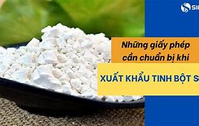 Thủ Tục Nhập Khẩu Tinh Bột Sắn