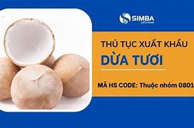 Thủ Tục Xuất Khẩu Mụn Dừa Sang Mỹ